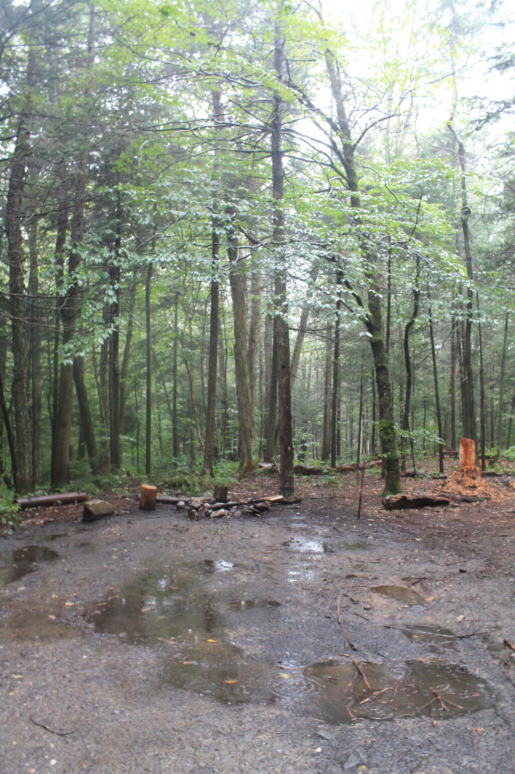 Photo: Roadside Campsite Photo: Roadside Campsite
