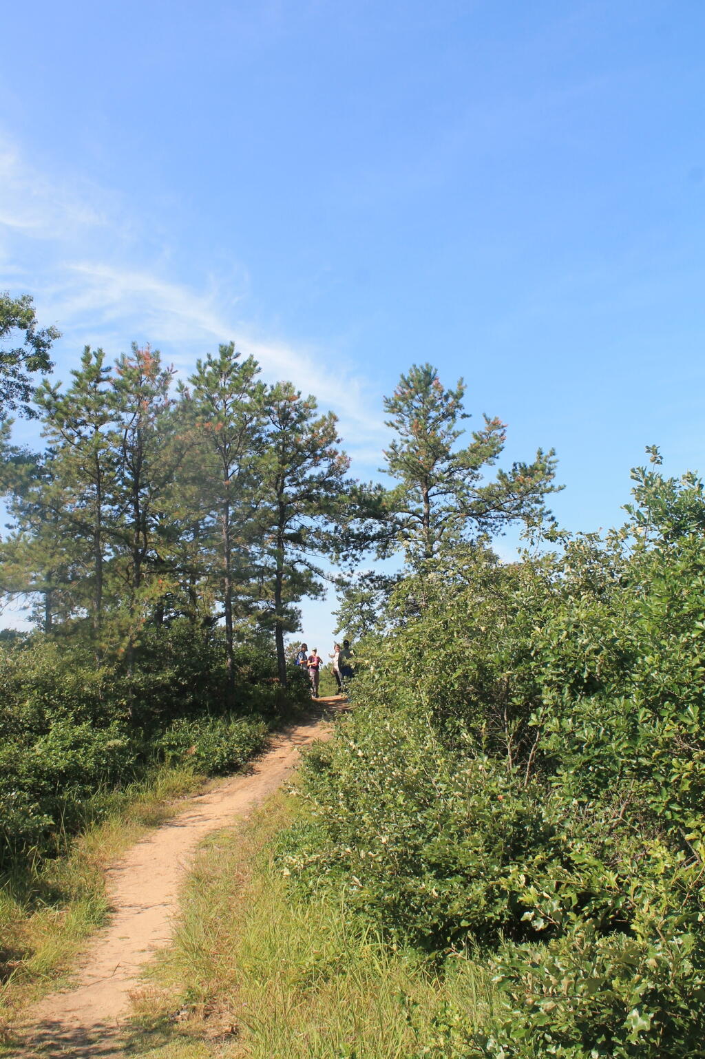 Photo: Small Dune Near Overlook Dune Photo: Small Dune Near Overlook Dune