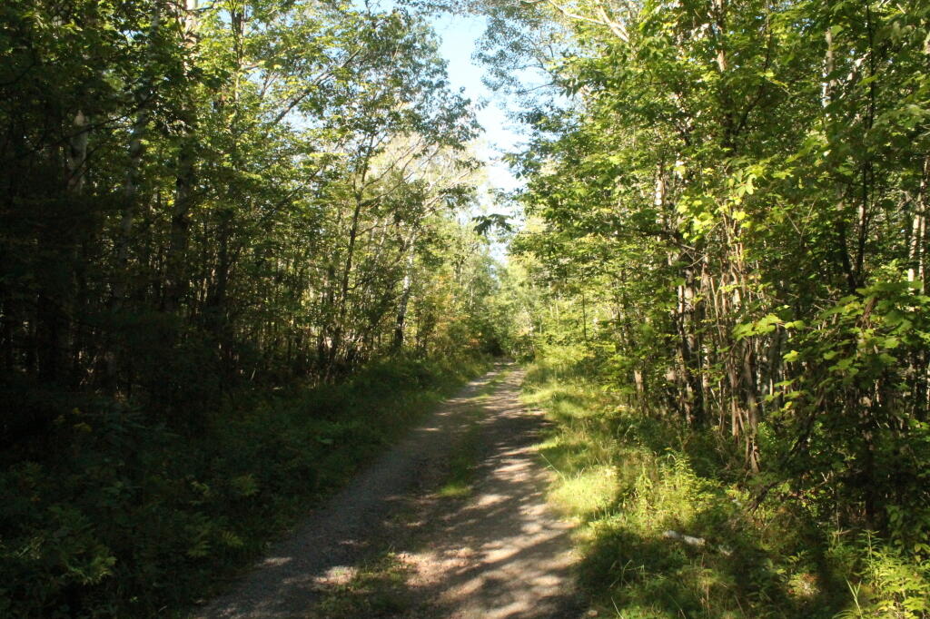 Photo: Rivenburg Road Opens Up Photo: Rivenburg Road Opens Up