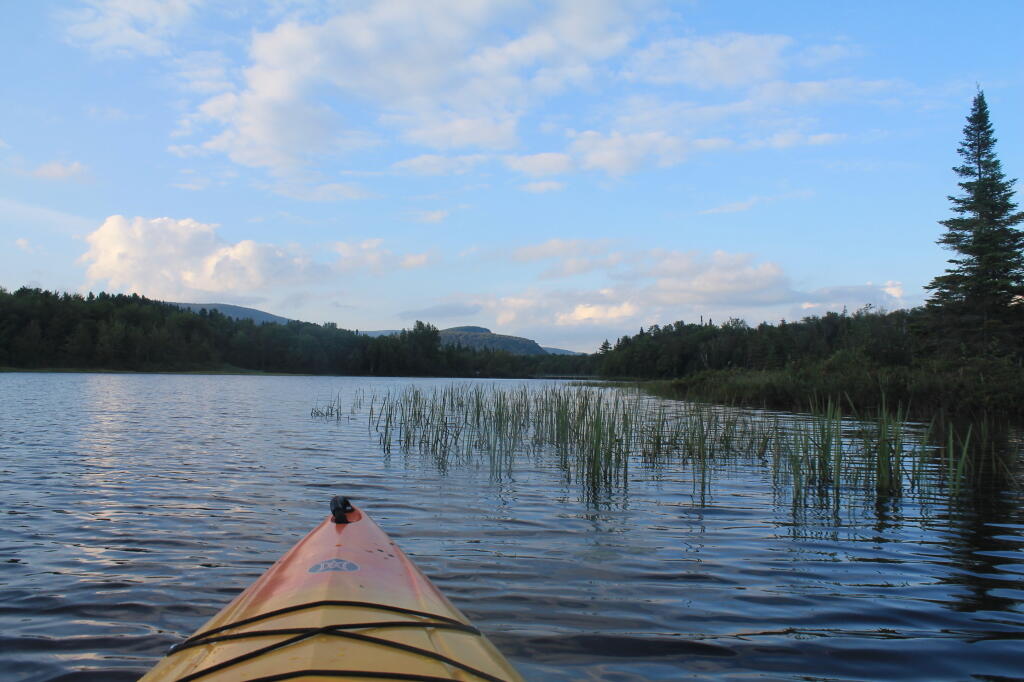 Photo: Paddling Photo: Paddling