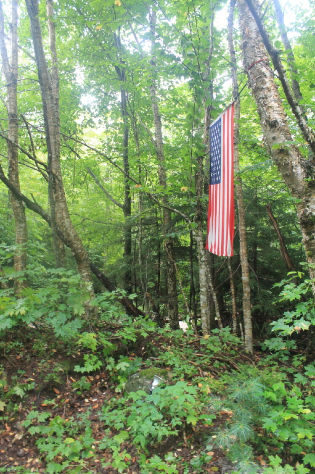 Photo: Flag at Campsite 27