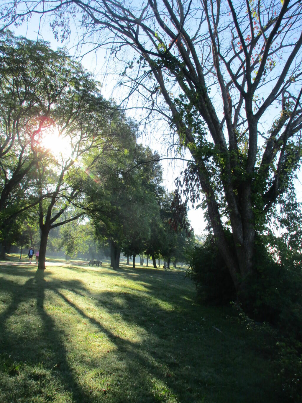 Photo: Morning Dew