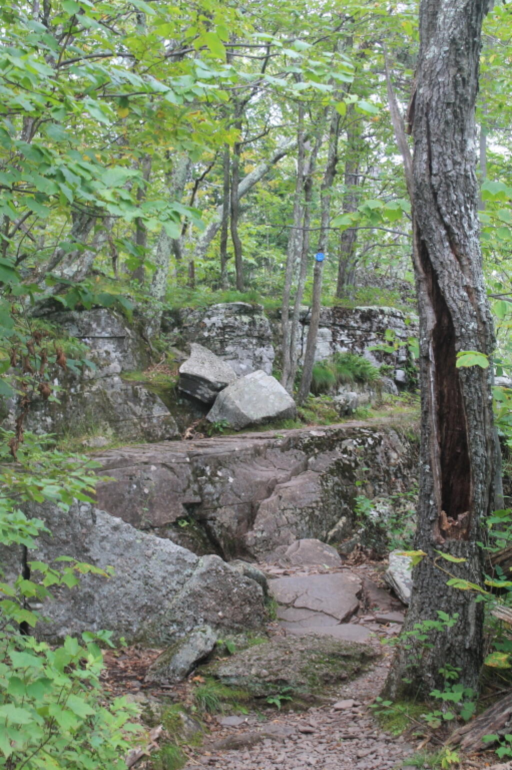 Photo: Climbing Photo: Climbing