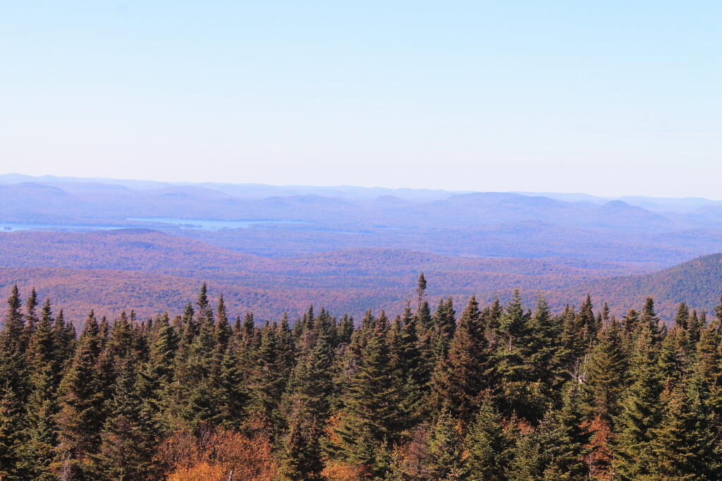 Photo: Towards Fulton Chain of Lakes Photo: Towards Fulton Chain of Lakes