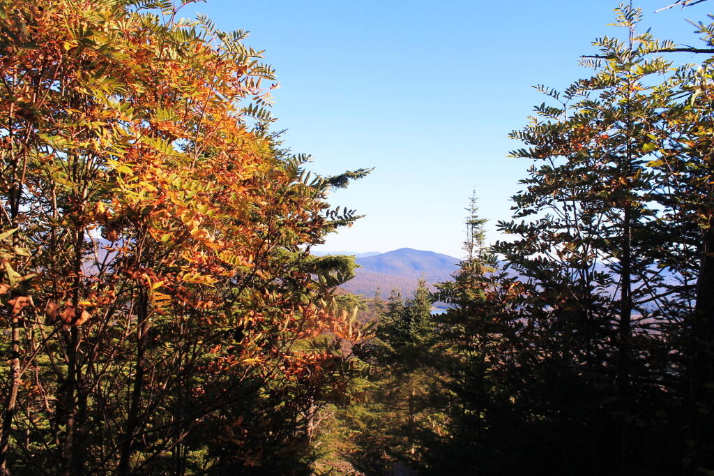 Photo: Colors Turning Photo: Colors Turning