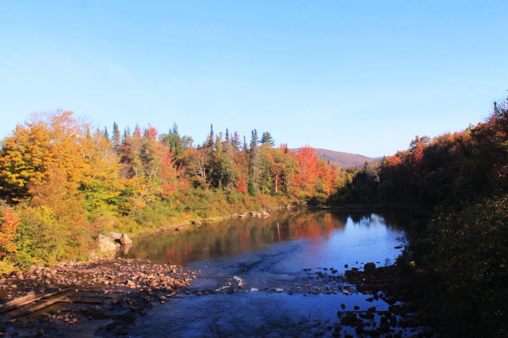 Photo: Cedar River from the Dam Photo: Cedar River from the Dam