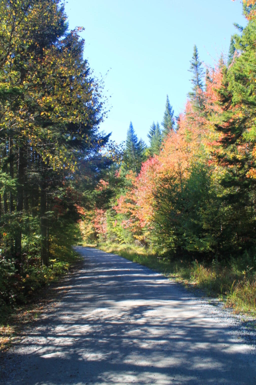 Photo: Scenic Driving Last Friday Photo: Scenic Driving Last Friday