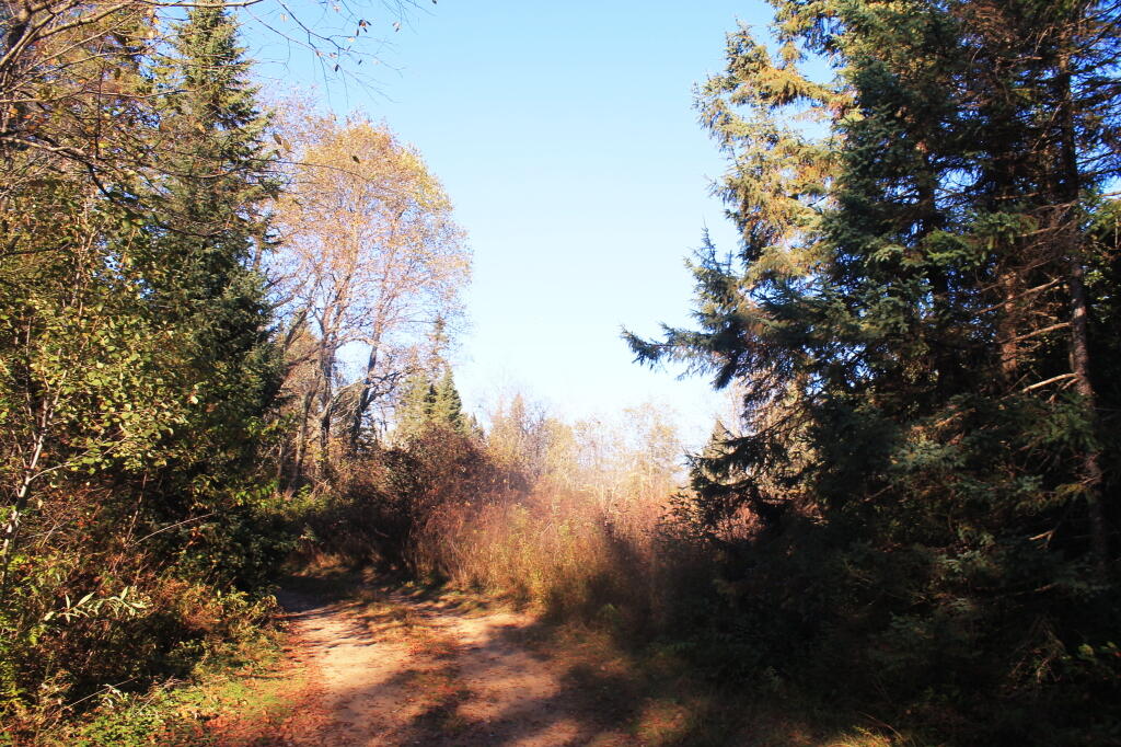Photo: Campsite 56 on a Beautiful Fall Afternoon Photo: Campsite 56 on a Beautiful Fall Afternoon