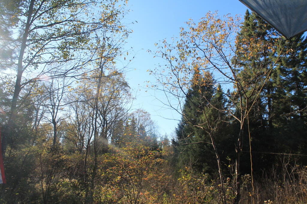Photo: View of the Plains from Camp Photo: View of the Plains from Camp
