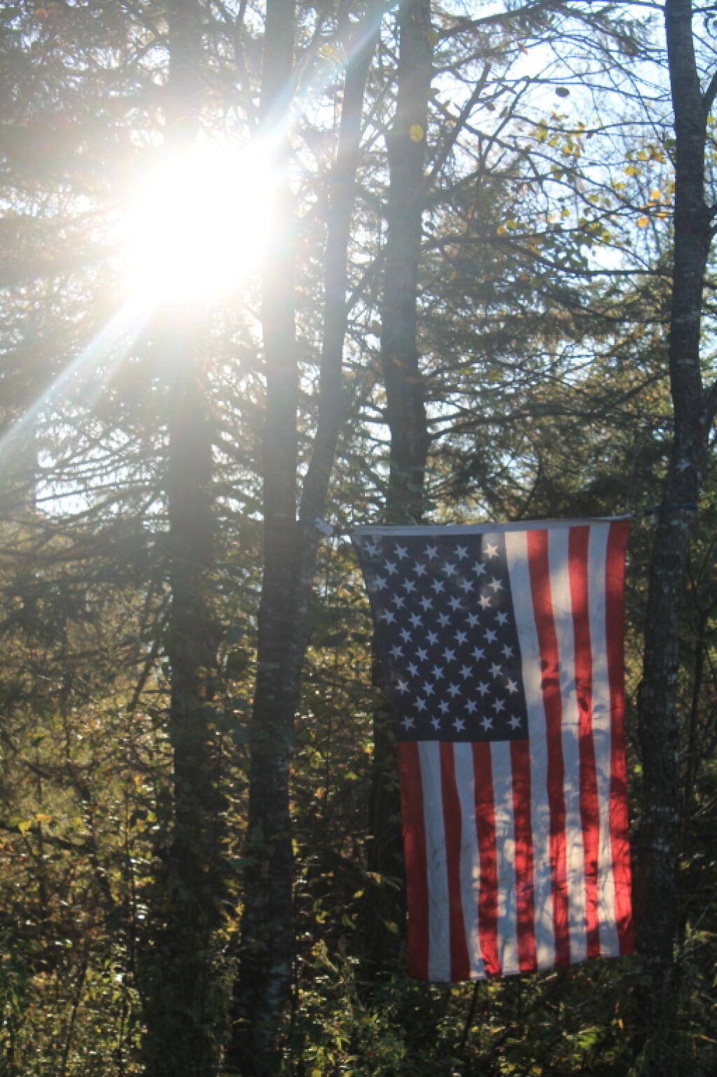 Photo: Sun and Flag Photo: Sun and Flag