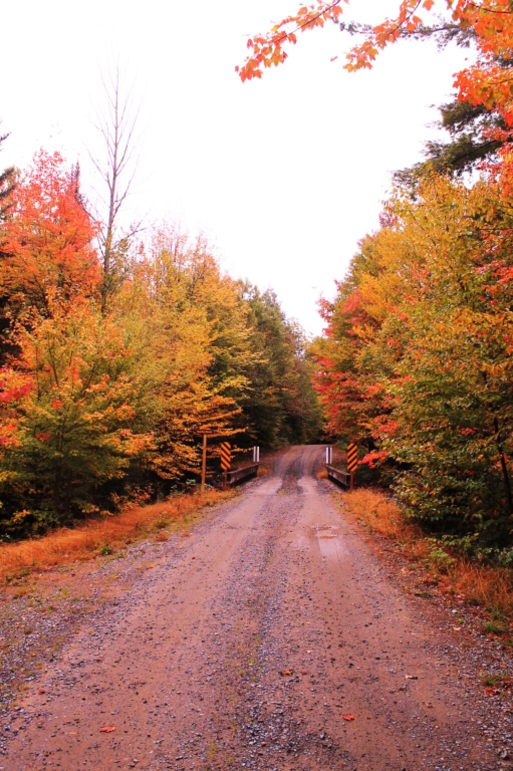 Photo: Bradley Brook Bridge