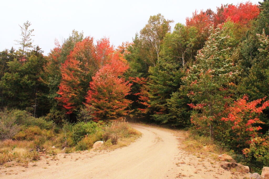 Photo: Indian Lake Road Near Falls Pond Outlet Photo: Indian Lake Road Near Falls Pond Outlet