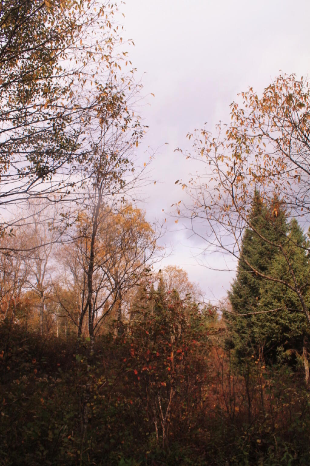 Photo: Is That Blue Sky Photo: Is That Blue Sky