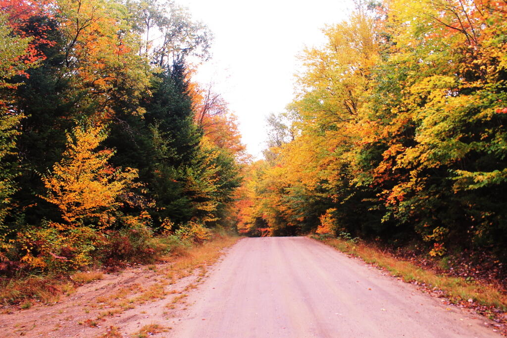 Photo: Near Campsite 37