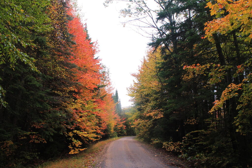 Photo: Near Milemarker 20 Photo: Near Milemarker 20