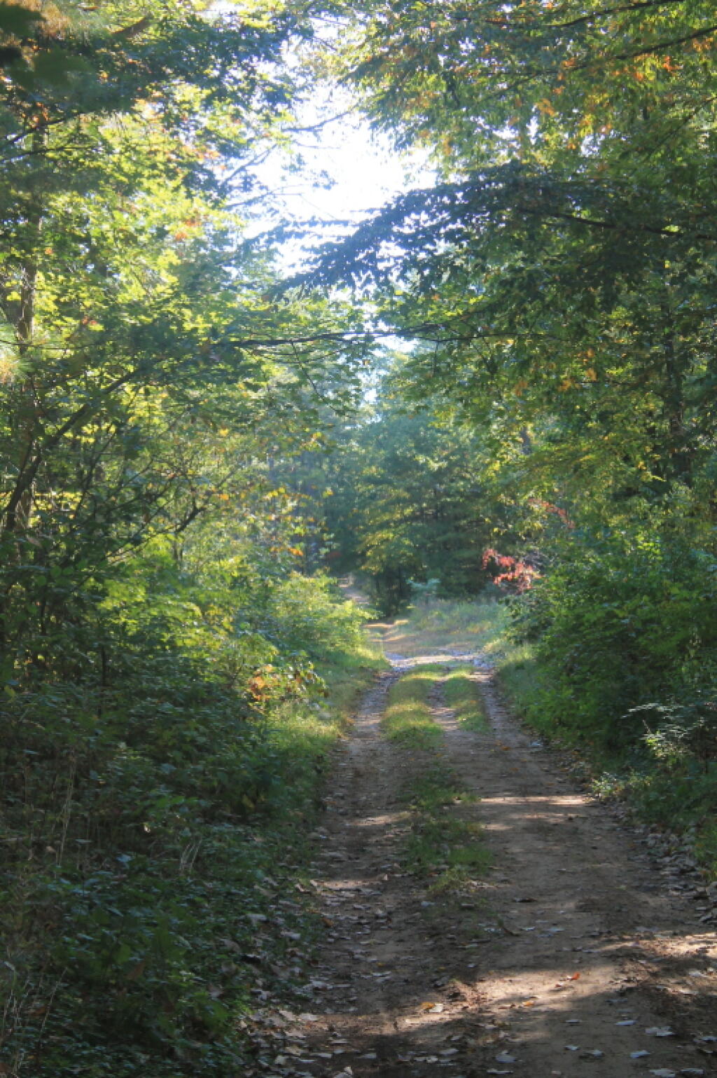 Photo: Starting Out On Pine Bush Hike Photo: Starting Out On Pine Bush Hike