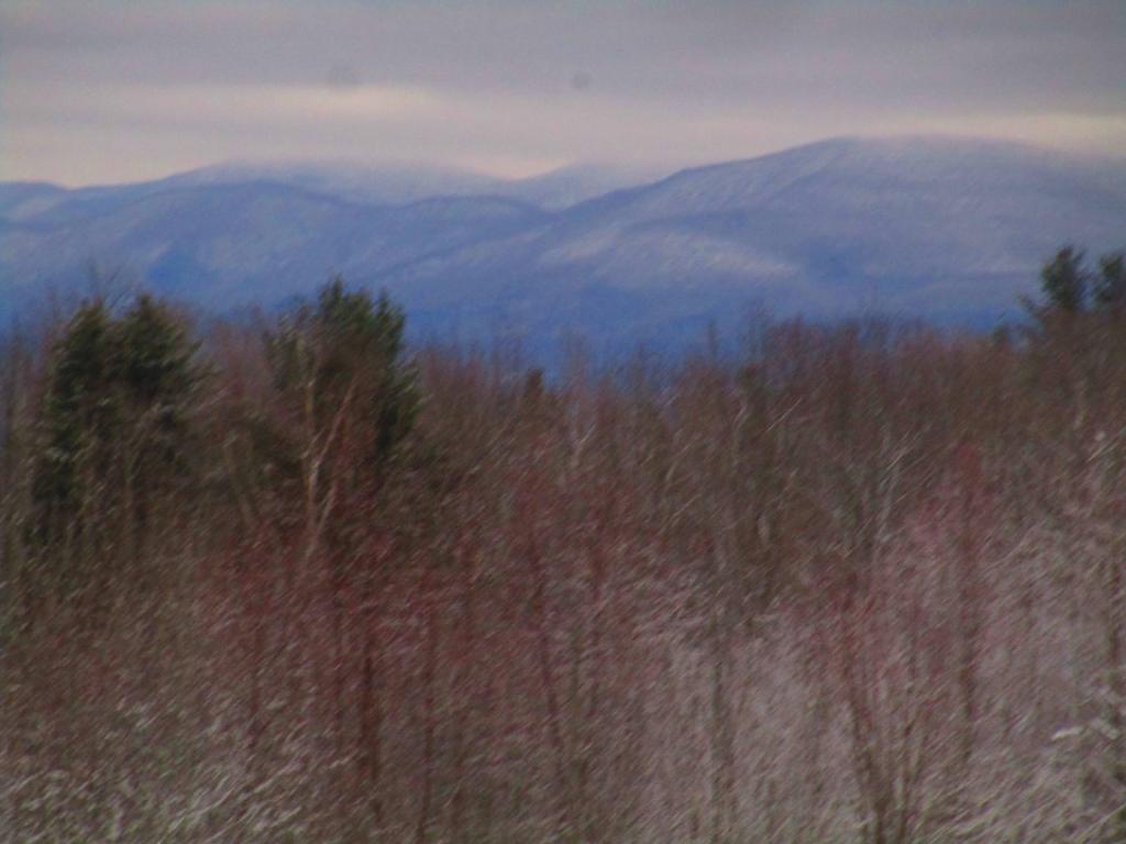 Photo: Untitled Photo: Untitled