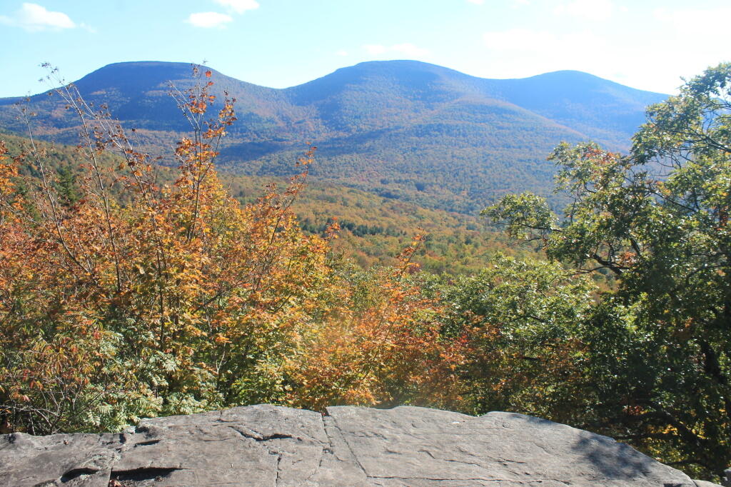 Photo: Fall Photo: Fall