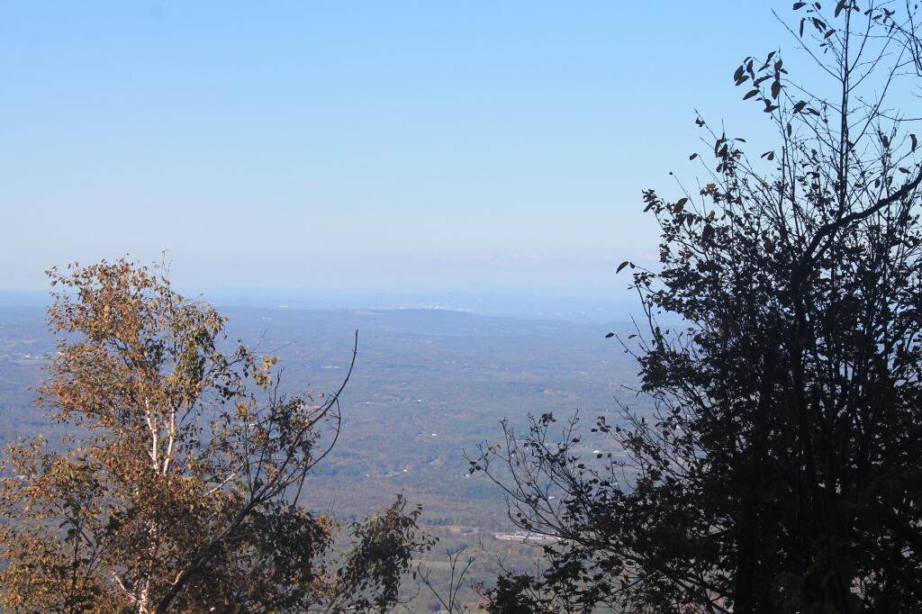 Photo: Albany in the Distance Photo: Albany in the Distance