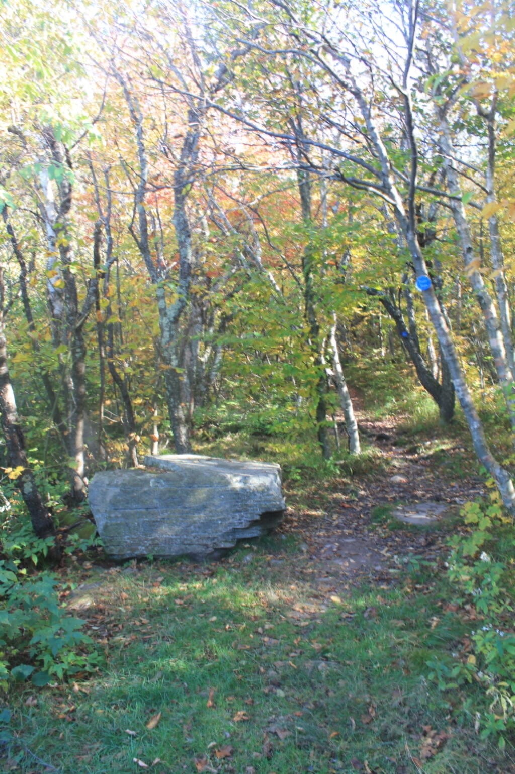 Photo: Boulder Along the Trail Photo: Boulder Along the Trail