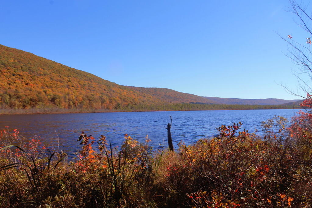 Photo: Jones Hill and Labrador Pond Photo: Jones Hill and Labrador Pond