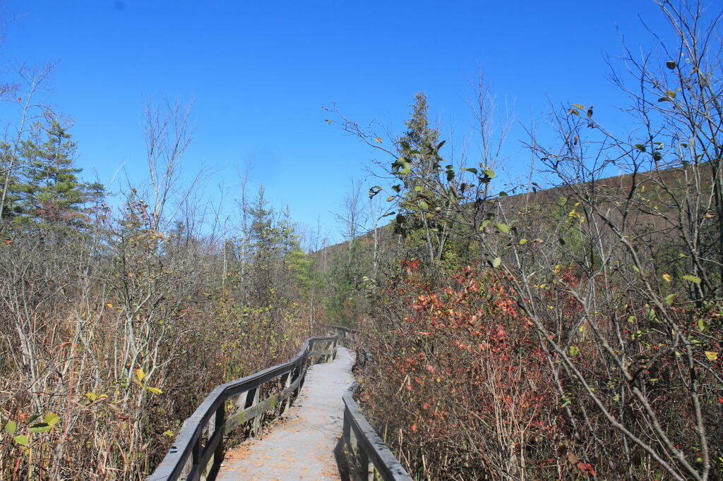 Photo: Trail Photo: Trail