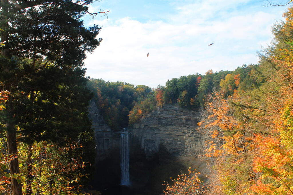 Photo: Overlook View Photo: Overlook View