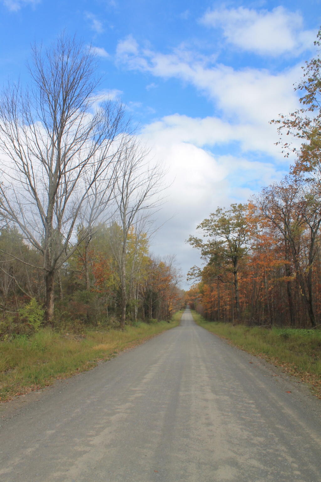 Photo: Potamac Road 2 Photo: Potamac Road 2