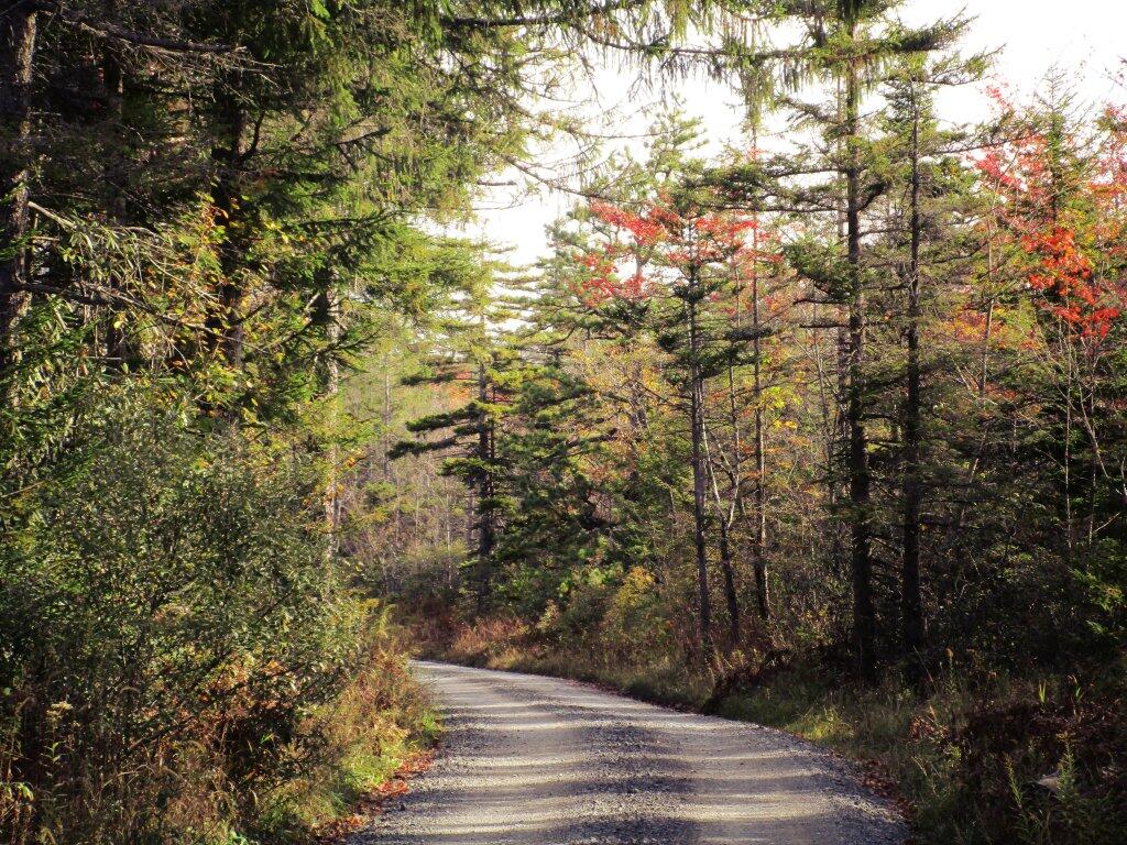 Photo: Country Roads Photo: Country Roads