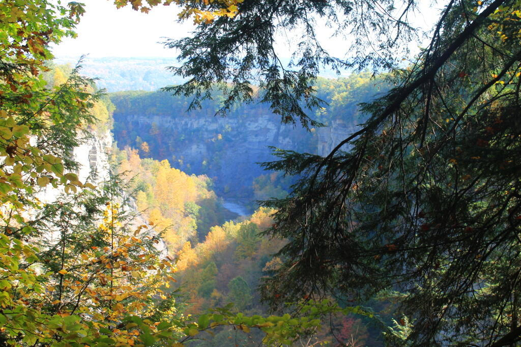 Photo: Back in the Gorge Photo: Back in the Gorge