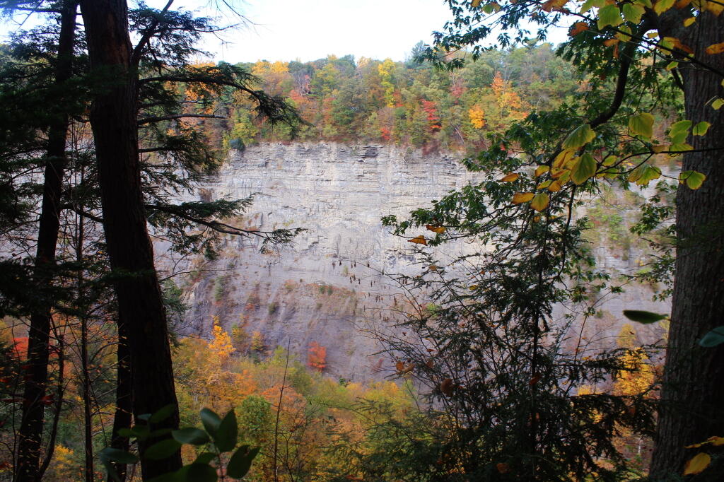 Photo: Across the Gorge