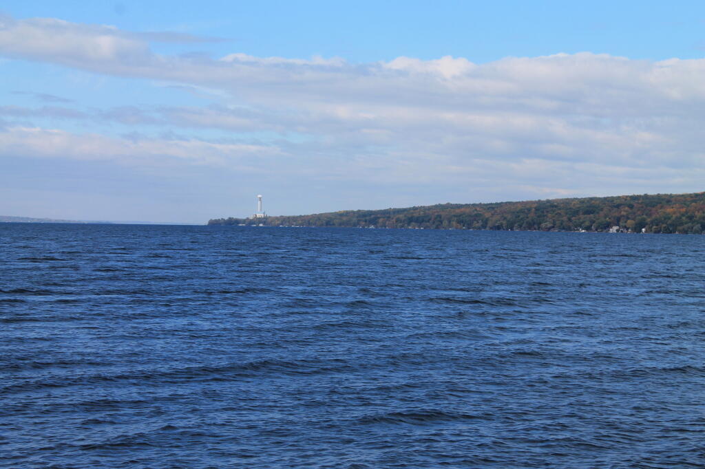 Photo: AES Cayuga Coal Plant in Lansing