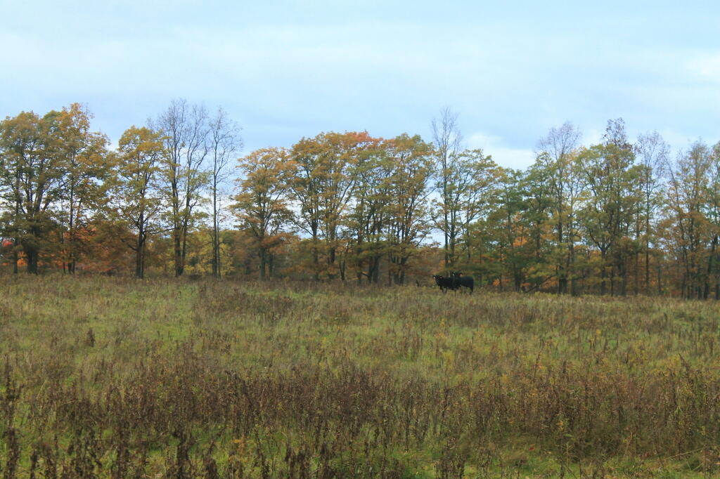 Photo: Government Shutdown Didn't Shutdown the Grazers Photo: Government Shutdown Didn't Shutdown the Grazers
