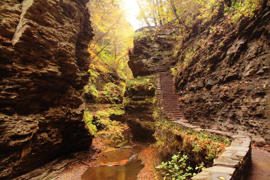 Photo: Stairs in the Gorge Photo: Stairs in the Gorge