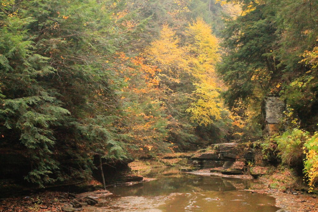 Photo: Upper Portion of Glen Photo: Upper Portion of Glen