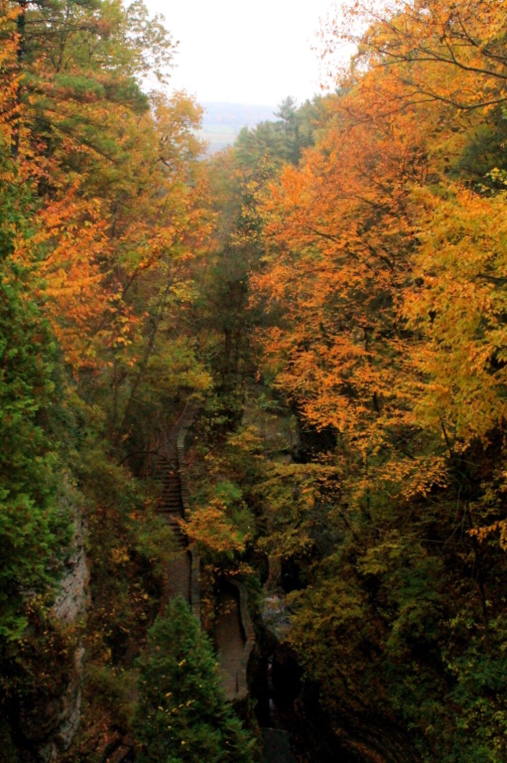 Photo: Fall Colors on Gorge Photo: Fall Colors on Gorge