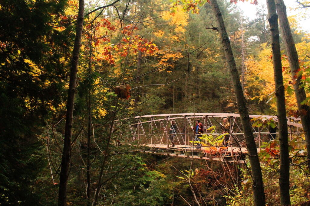 Photo: Suspension Bridge Over Gorge Photo: Suspension Bridge Over Gorge