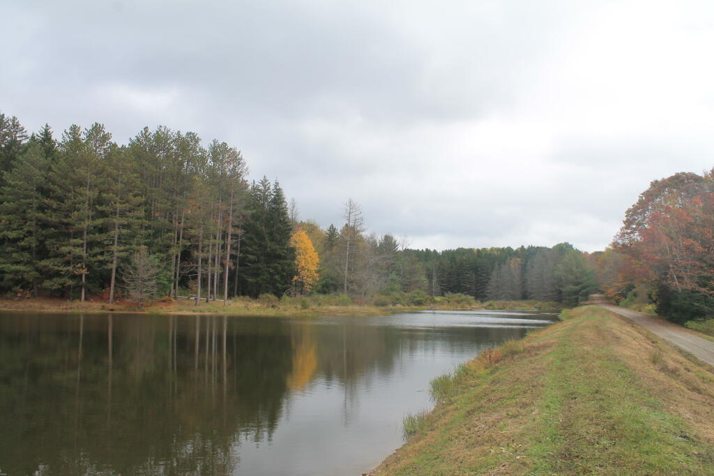 Photo: Ossian Pond Photo: Ossian Pond