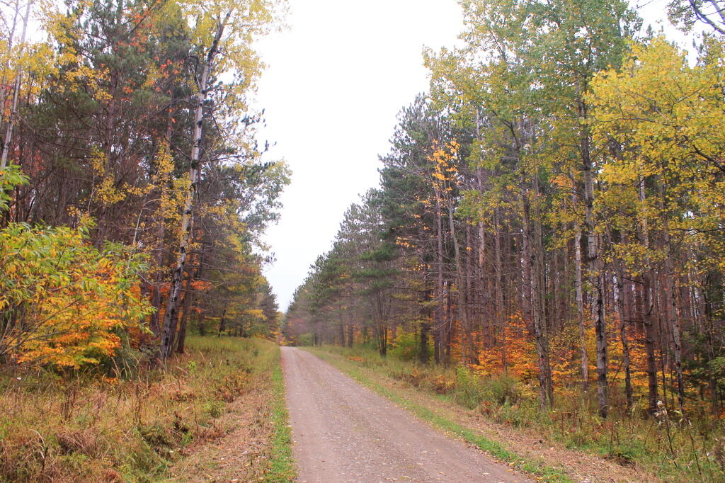 Photo: Past Ossian Pond Photo: Past Ossian Pond