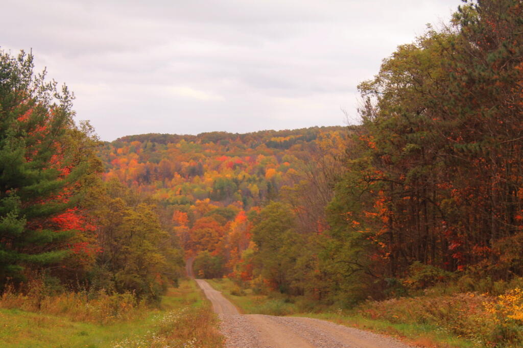 Photo: Down the Very Colorful Hill Photo: Down the Very Colorful Hill