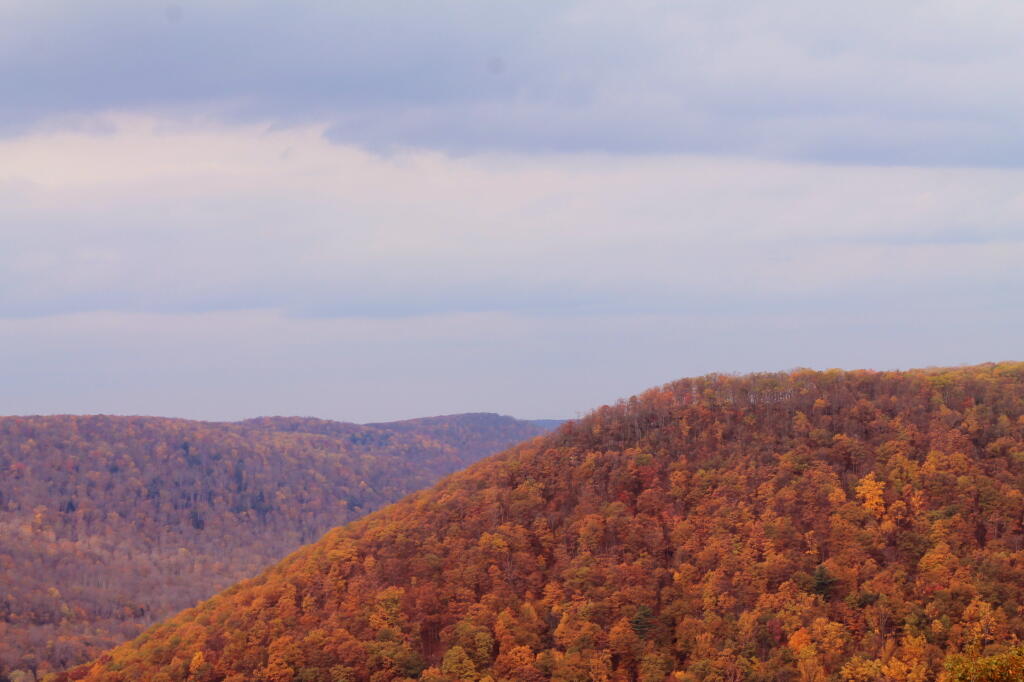 Photo: Allegheny Mountains