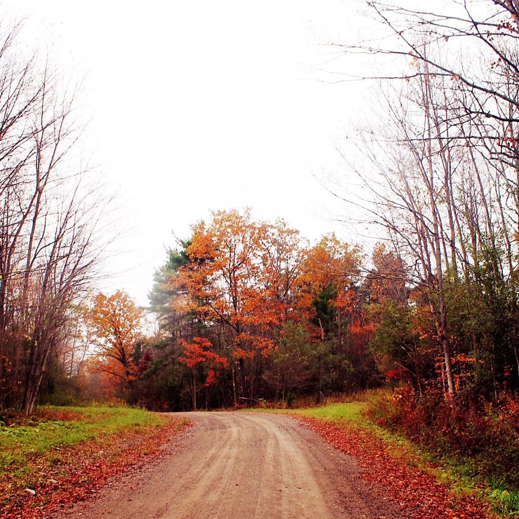 Photo: Bully Hill Road