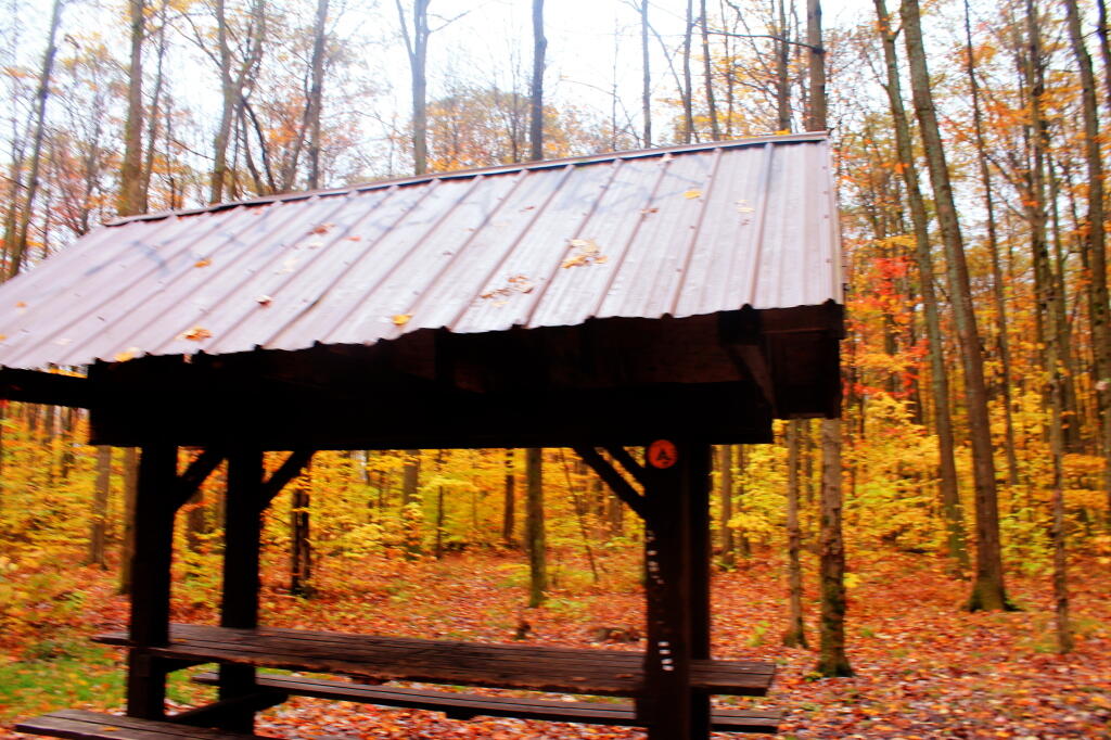 Photo: Camping Shelter Photo: Camping Shelter