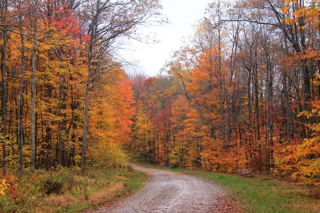 Photo: Little Rock City Road Photo: Little Rock City Road