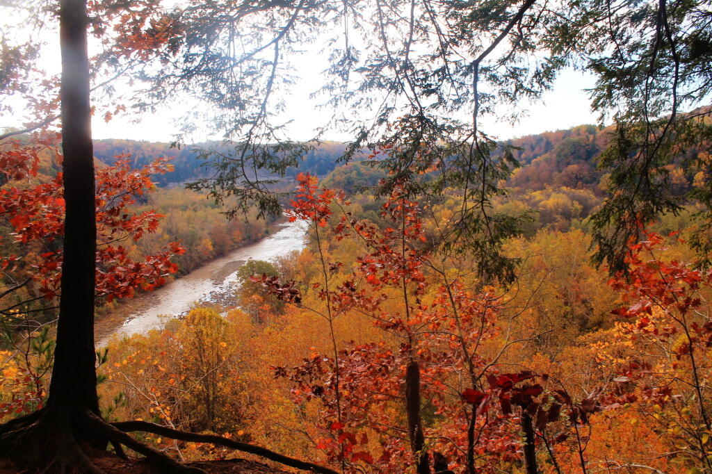 Photo: Cattaragus Creek From Pinnacle Point Photo: Cattaragus Creek From Pinnacle Point