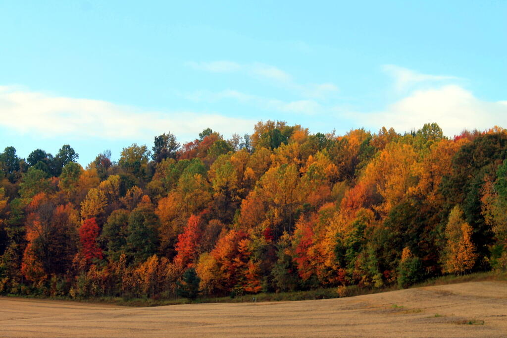 Photo: Farm Field At Enterance Photo: Farm Field At Enterance