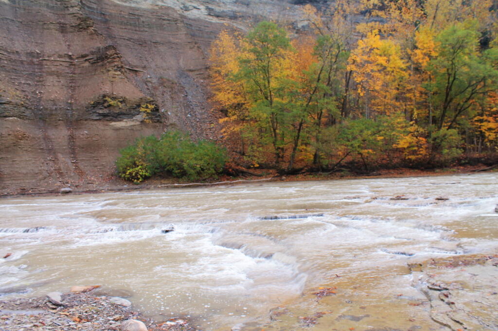 Photo: Gentle Drop In South Branch Photo: Gentle Drop In South Branch