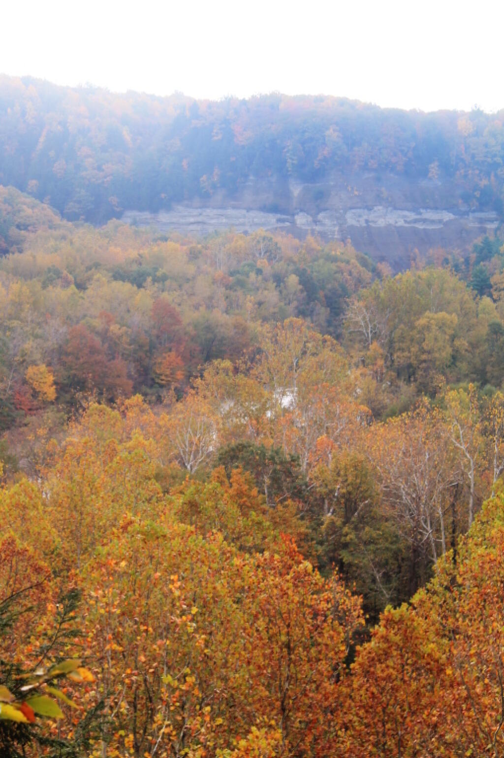 Photo: Gorge Walls From Above Photo: Gorge Walls From Above