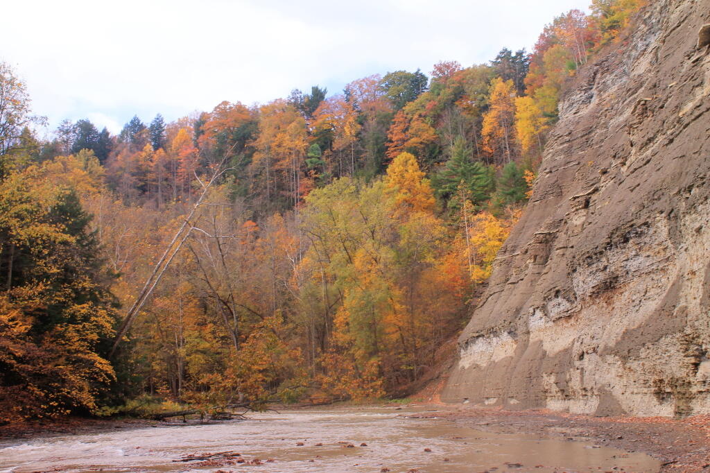 Photo: Hiking Up The Shallow But Beautiful South Branch Photo: Hiking Up The Shallow But Beautiful South Branch