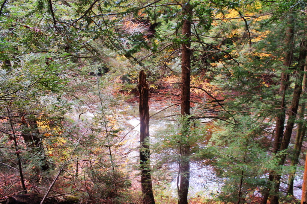 Photo: As Close As You Can Get To The Falls